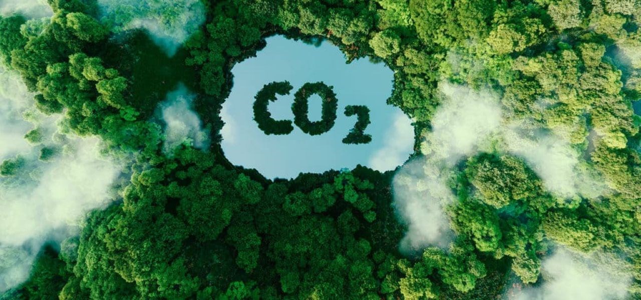 Gabon Source Rocks Et si les forêts du Gabon devenaient demain une source de revenus aussi ...