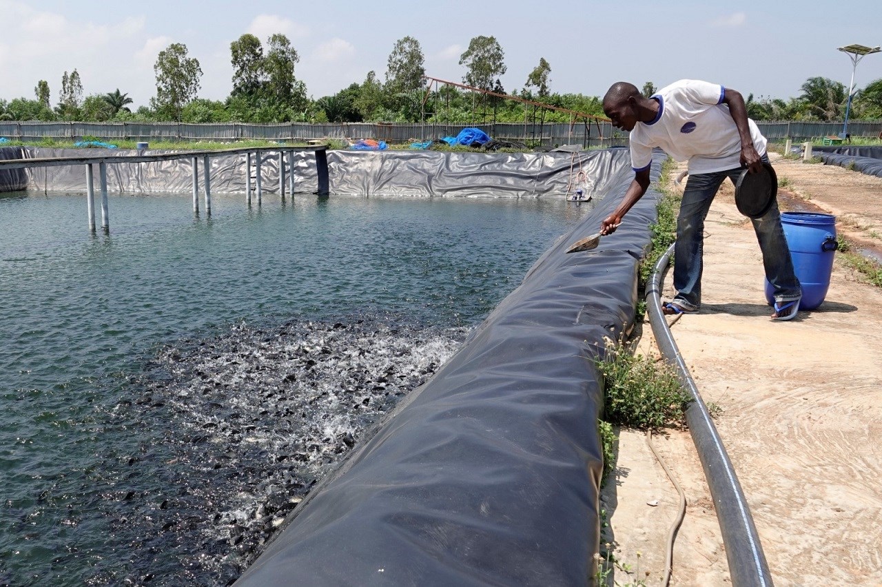 Burkina Faso : Cap sur 100 000 tonnes de poisson/an en misant sur la ...