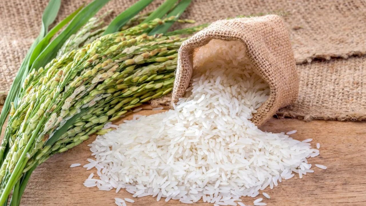Sénégal : Le gouvernement suspend les importations de riz pour un mois