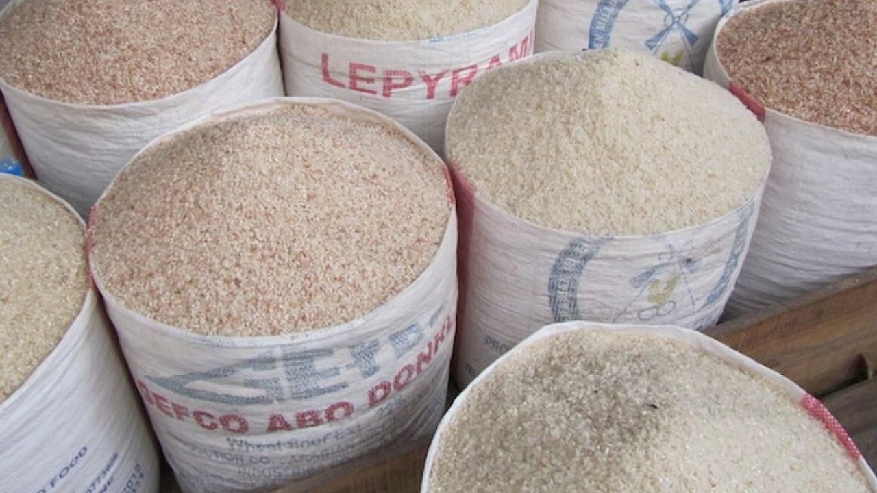 Sénégal : Le riz local, une filière plombée par le manque de compétitivité
