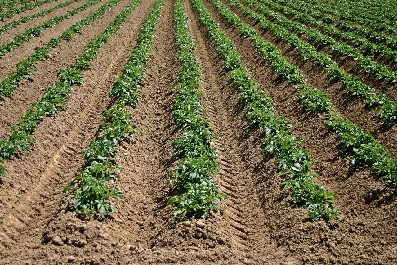 Bénin : Un projet de 20,76 millions USD pour la restauration des terres agricoles dégradées