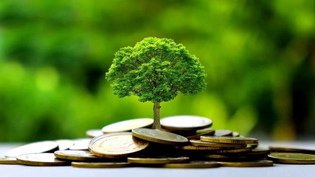 La Côte d’Ivoire décroche 50 millions USD auprès du Fonds vert pour le climat pour accélérer la transition agricole