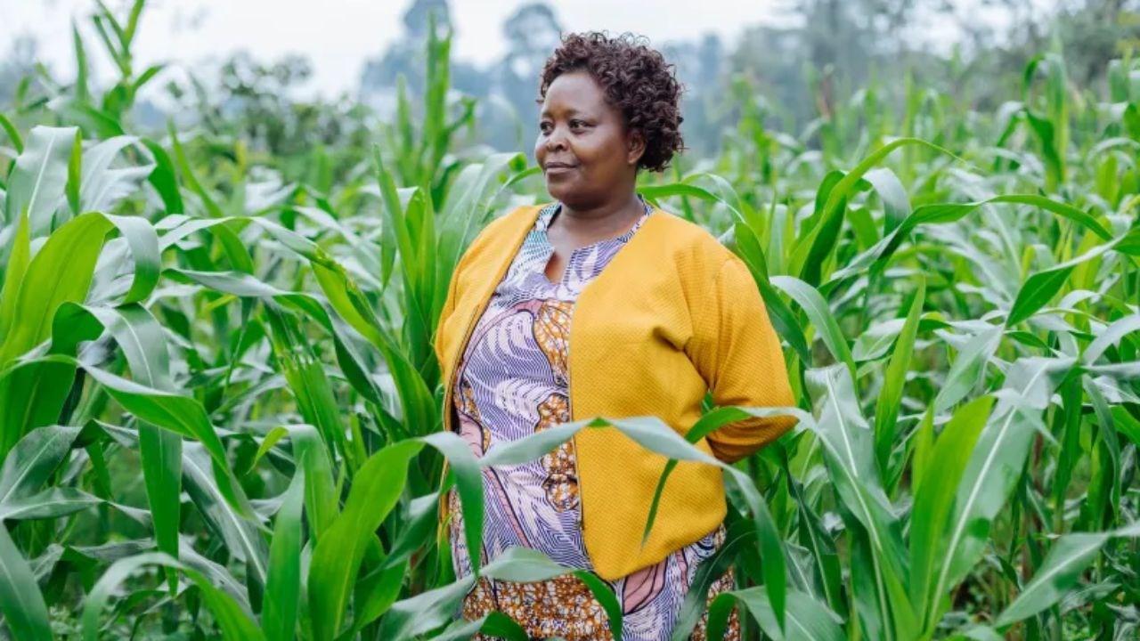 Proparco engage 12 millions de dollars pour financer l'innovation agricole résiliente en Afrique